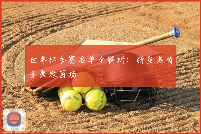 世界杯参赛名单全解析：新星老将齐聚绿茵场
