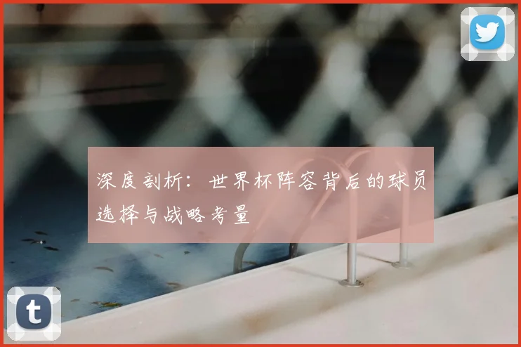 深度剖析：世界杯阵容背后的球员选择与战略考量